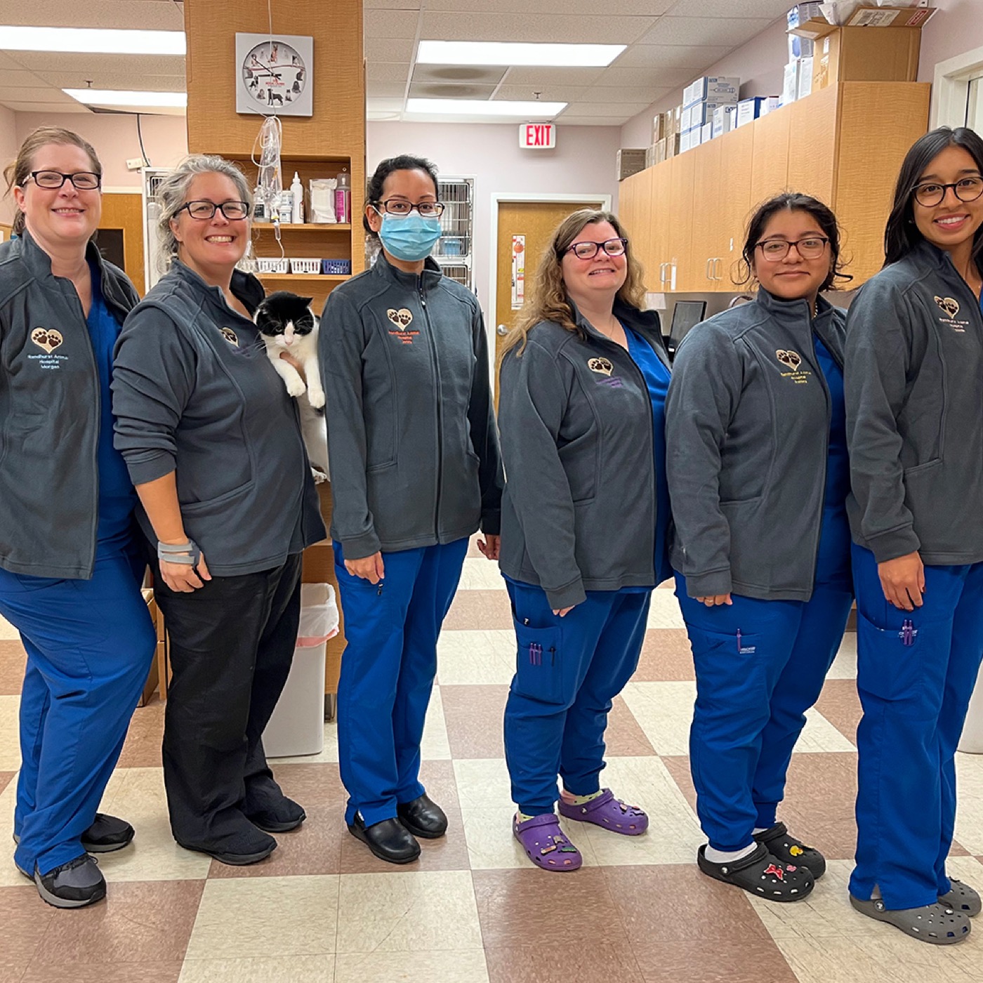 Randhurst Animal Hospital staff inside the hospital with the clinic cat